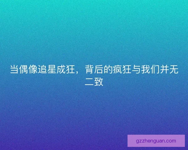 当偶像追星成狂，背后的疯狂与我们并无二致
